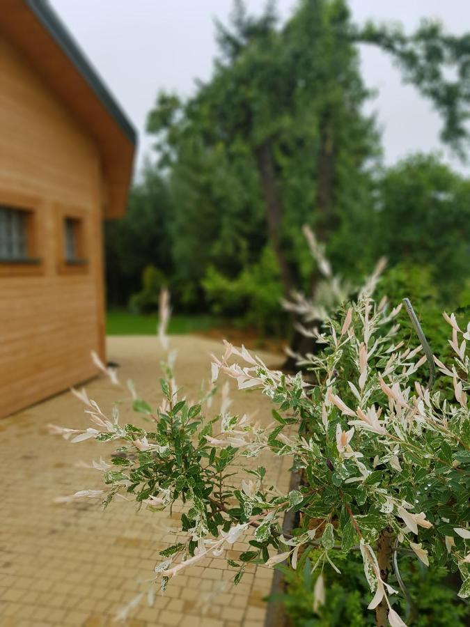 Villa Kosiedlisko Kraśnik Exterior foto